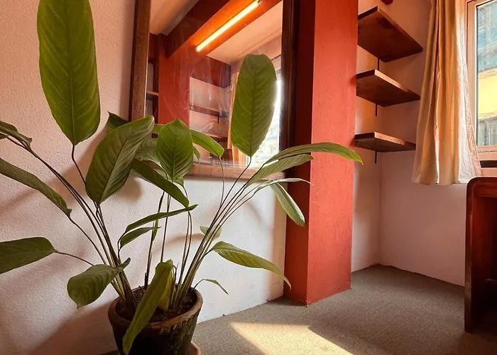 Apartment Mandarava Avasa